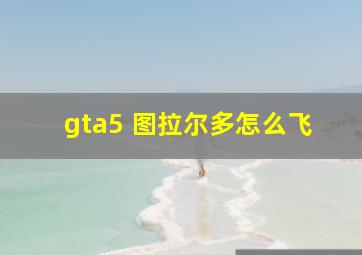 gta5 图拉尔多怎么飞